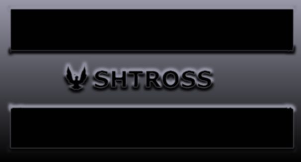 Логотип для строительной компании SHTROSS - дизайнер prapor