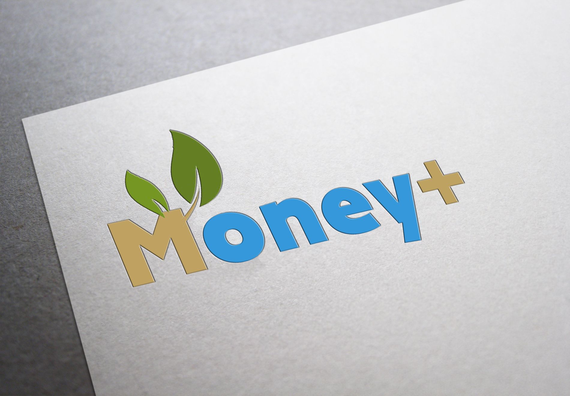 Лого и ФС для Money+   - дизайнер TerWeb