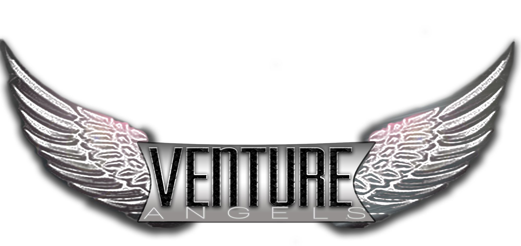Логотип для VENTURE ANGELS - дизайнер akkent