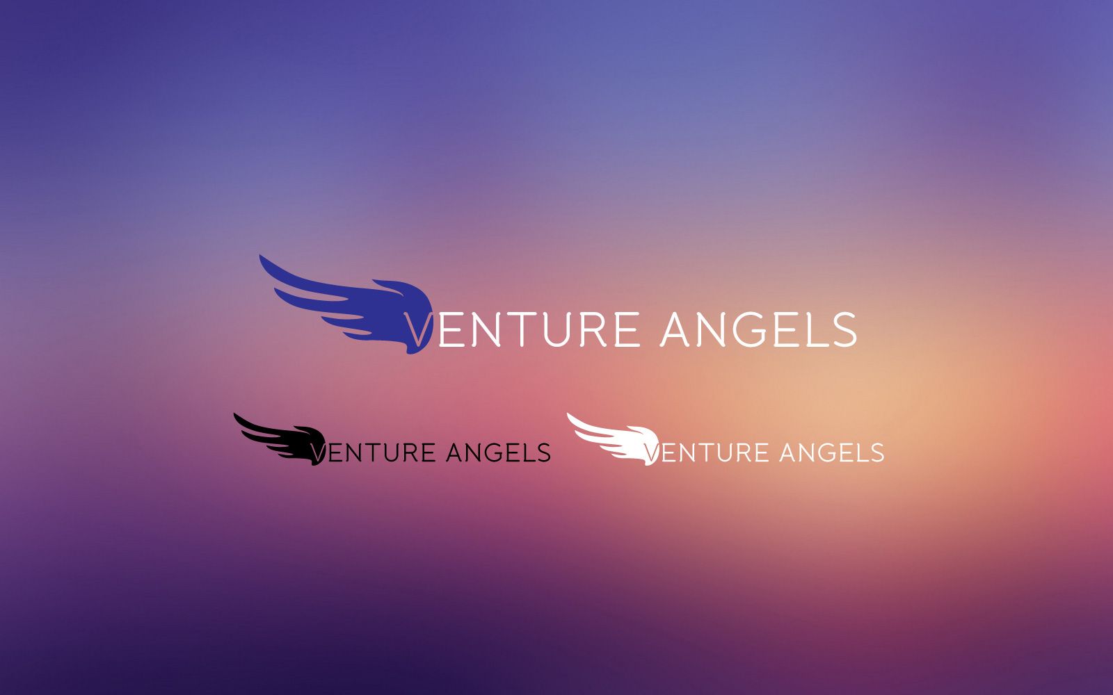 Логотип для VENTURE ANGELS - дизайнер LyonaMus