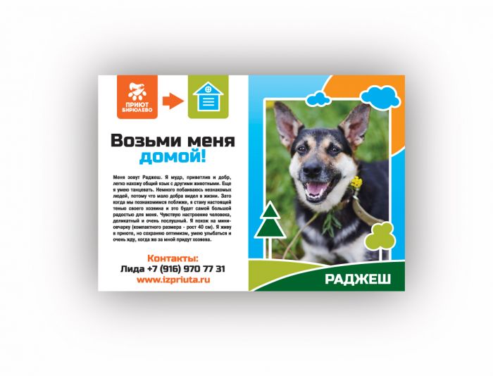 Макет листовки для собак в поисках дома - дизайнер oksygen