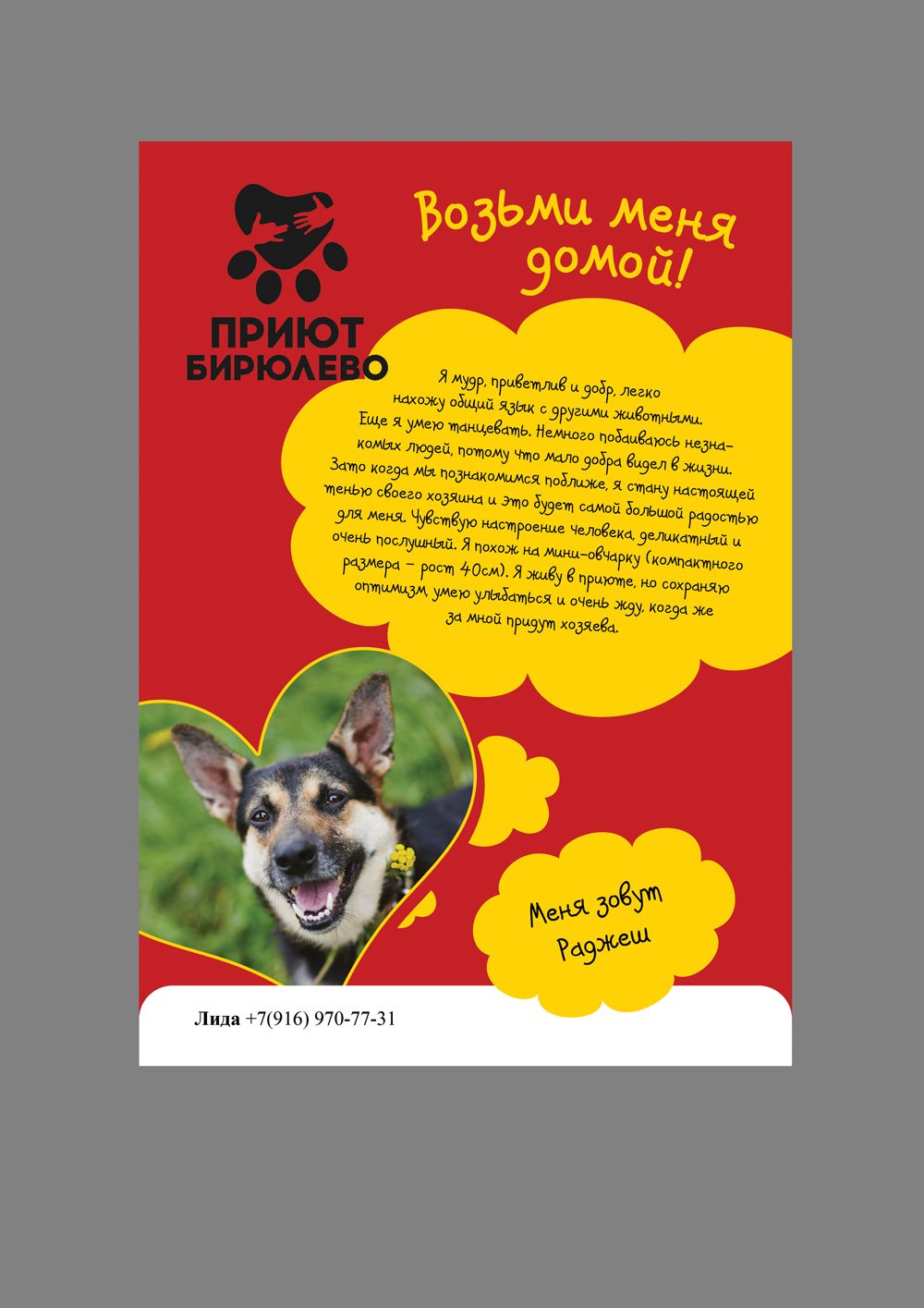 Макет листовки для собак в поисках дома - дизайнер Paroda