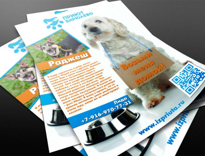 Макет листовки для собак в поисках дома - дизайнер path
