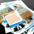 Макет листовки для собак в поисках дома - дизайнер path
