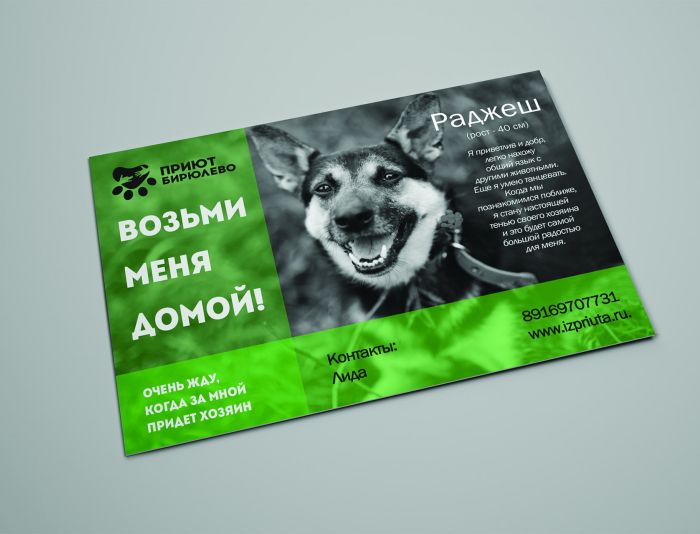 Макет листовки для собак в поисках дома - дизайнер tema34ru