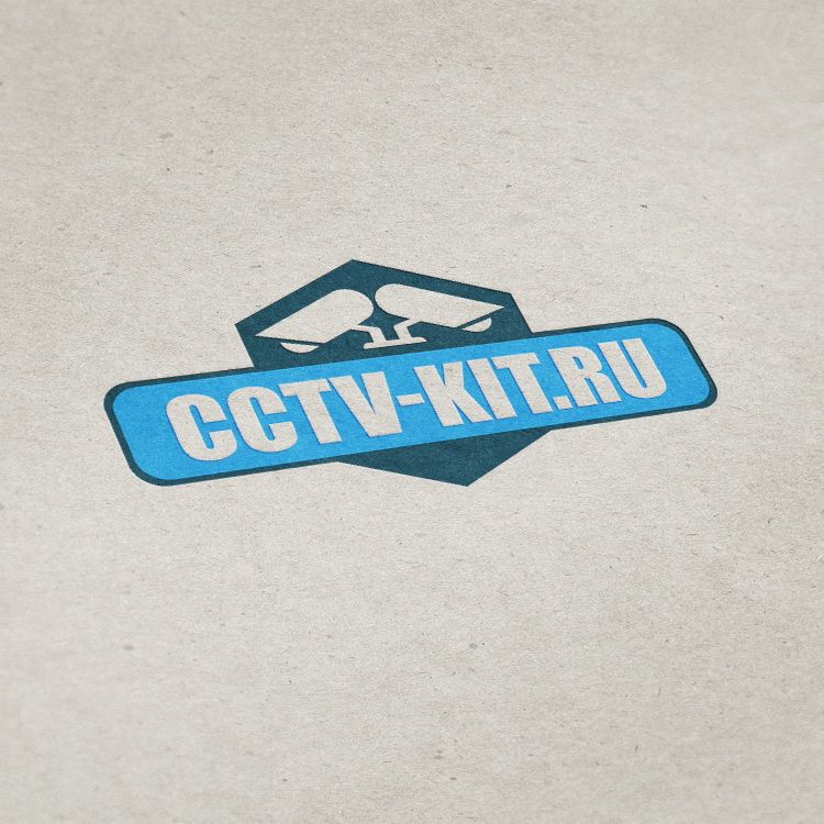 Логотип для интернет-магазина видеонаблюдения - дизайнер U7ART