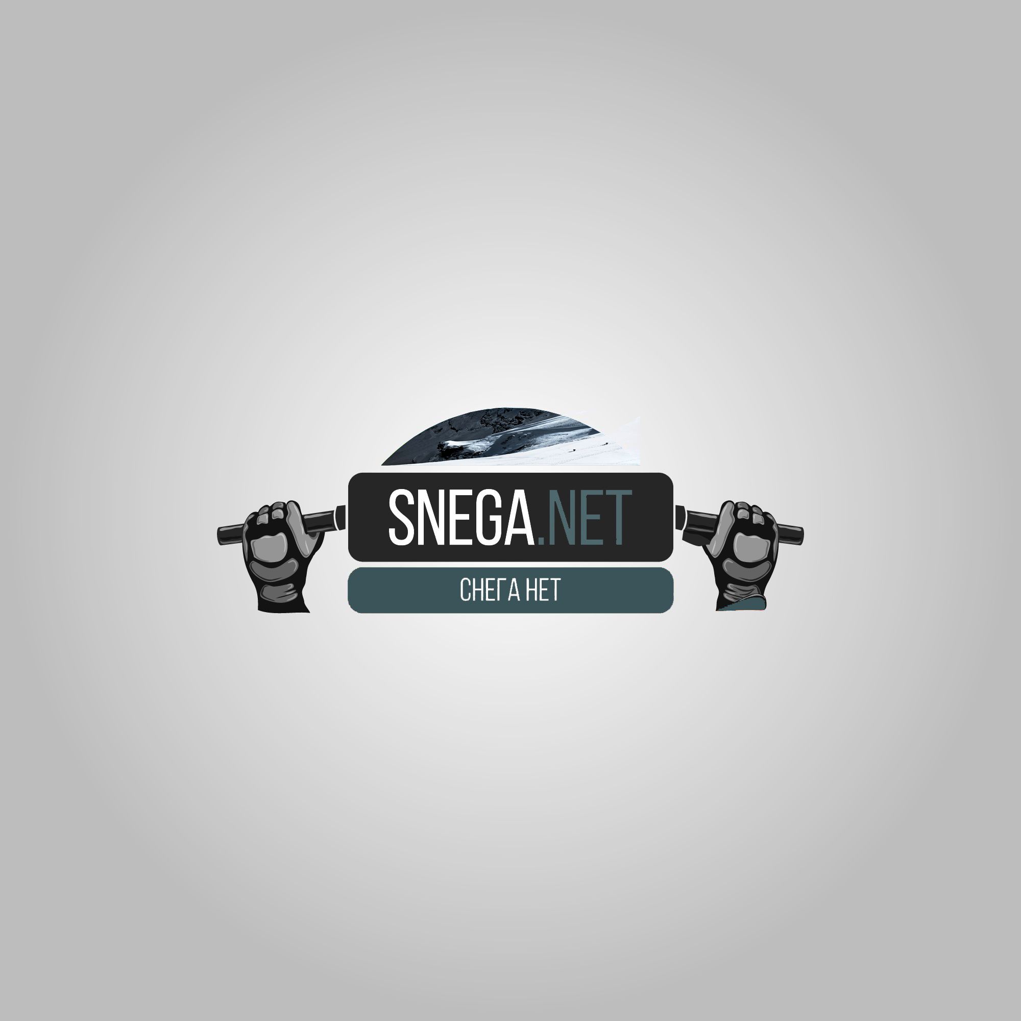 Разработка логотипа для сайта snega.net - дизайнер Enamoured