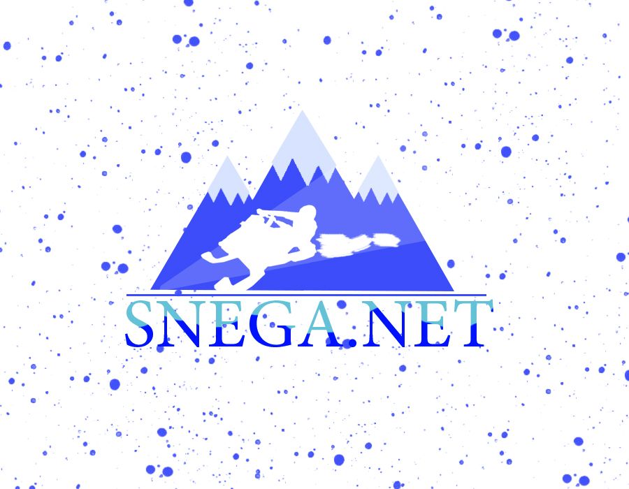 Разработка логотипа для сайта snega.net - дизайнер avatar0
