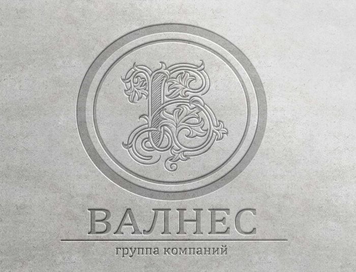 Логотип компании - дизайнер Gemini