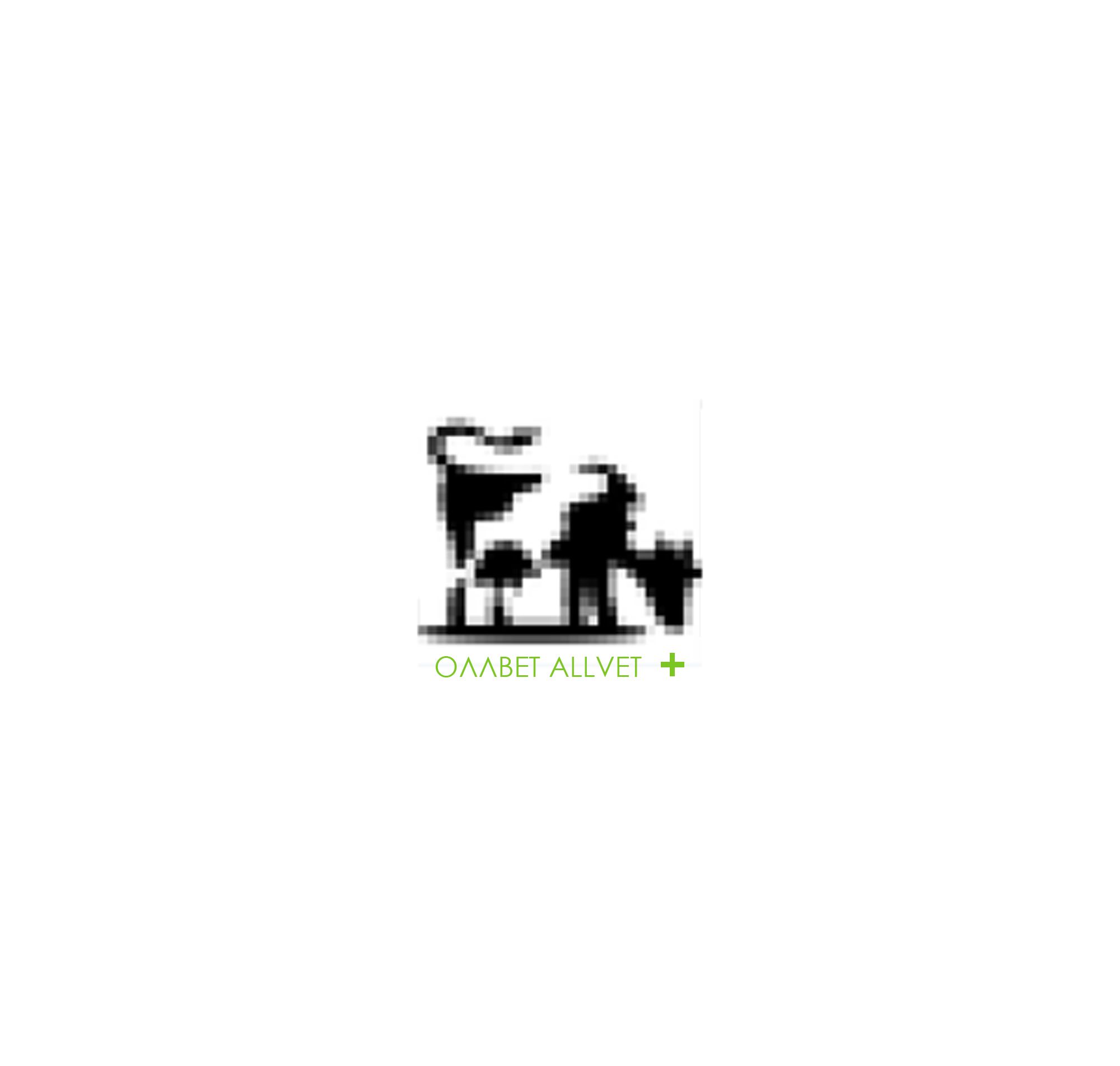 Создание логотипа и стиля ветеринарной компании - дизайнер DSES