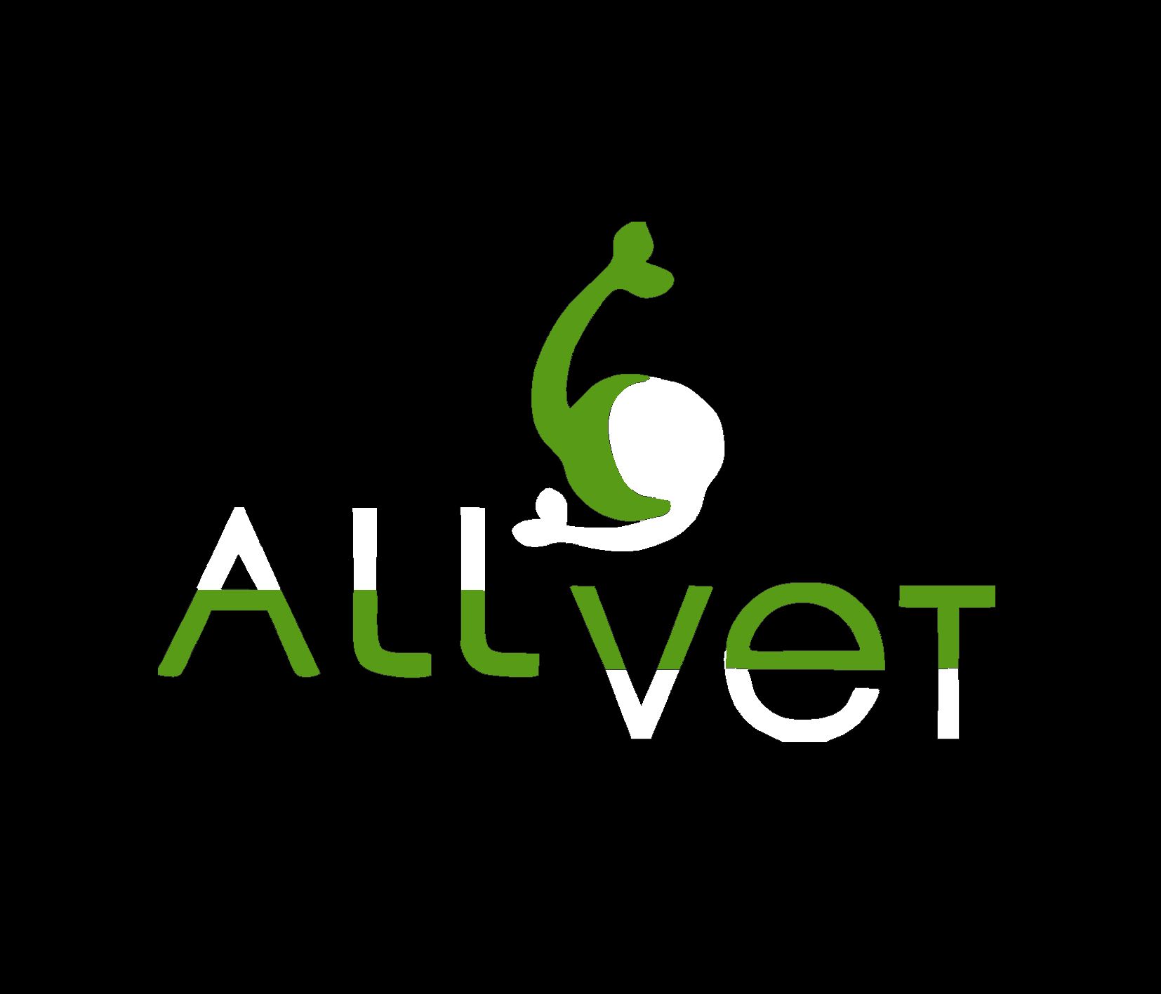 Создание логотипа и стиля ветеринарной компании - дизайнер Ginger-galka