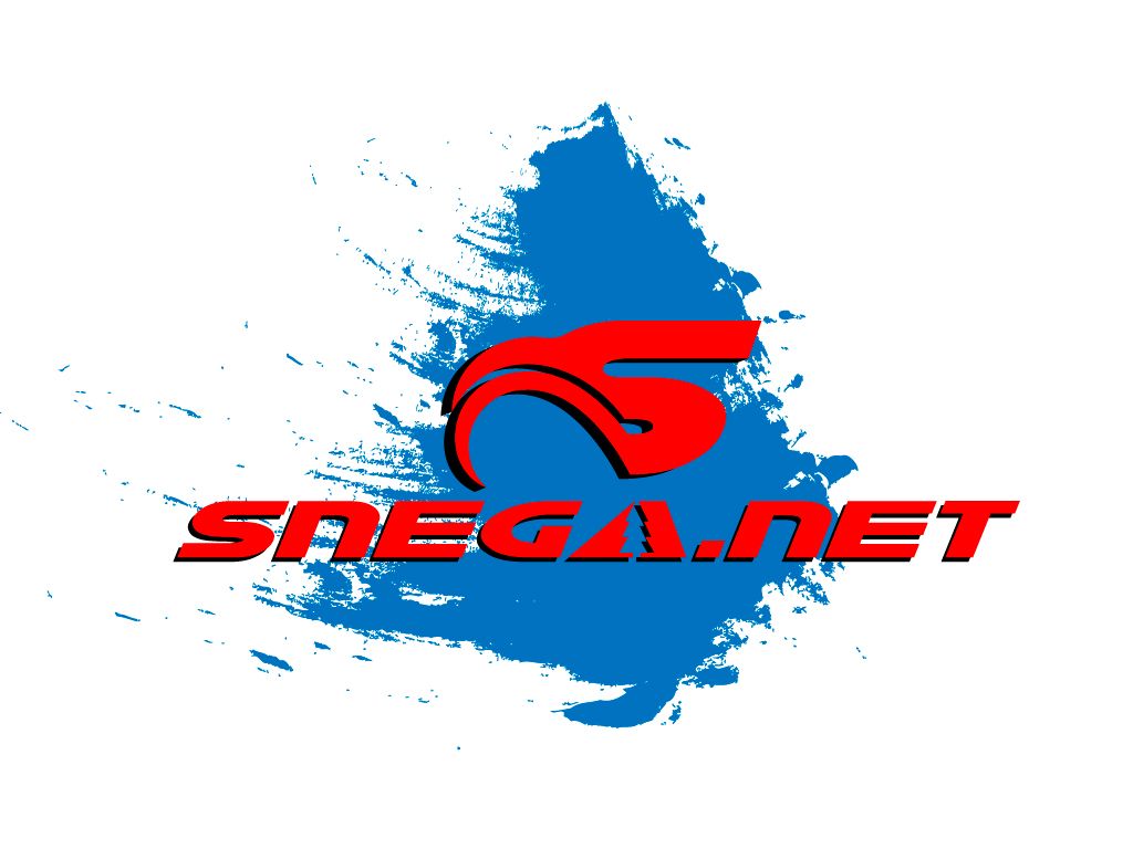 Разработка логотипа для сайта snega.net - дизайнер Ninpo