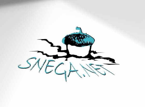 Разработка логотипа для сайта snega.net - дизайнер Anastasiya_91