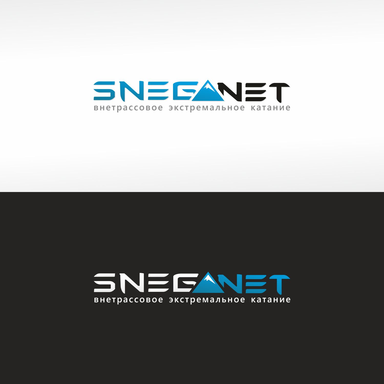 Разработка логотипа для сайта snega.net - дизайнер IgorTsar