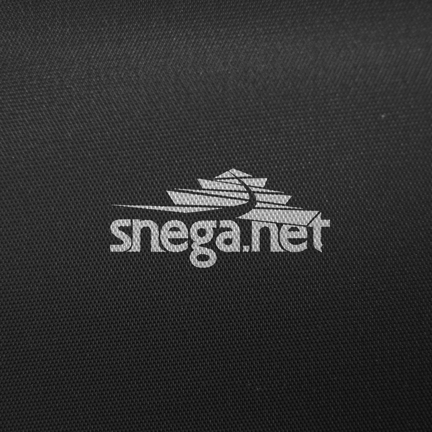 Разработка логотипа для сайта snega.net - дизайнер djmirionec1