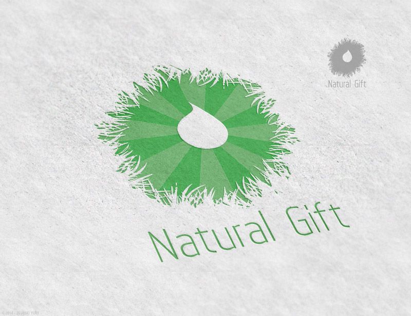 Фирменный стиль для Nature's Gifts INC - дизайнер Odinus