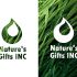 Фирменный стиль для Nature's Gifts INC - дизайнер Odinus