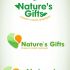 Фирменный стиль для Nature's Gifts INC - дизайнер kuzmina_zh
