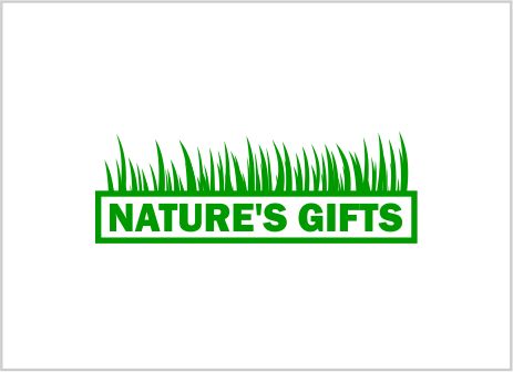 Фирменный стиль для Nature's Gifts INC - дизайнер pasmo