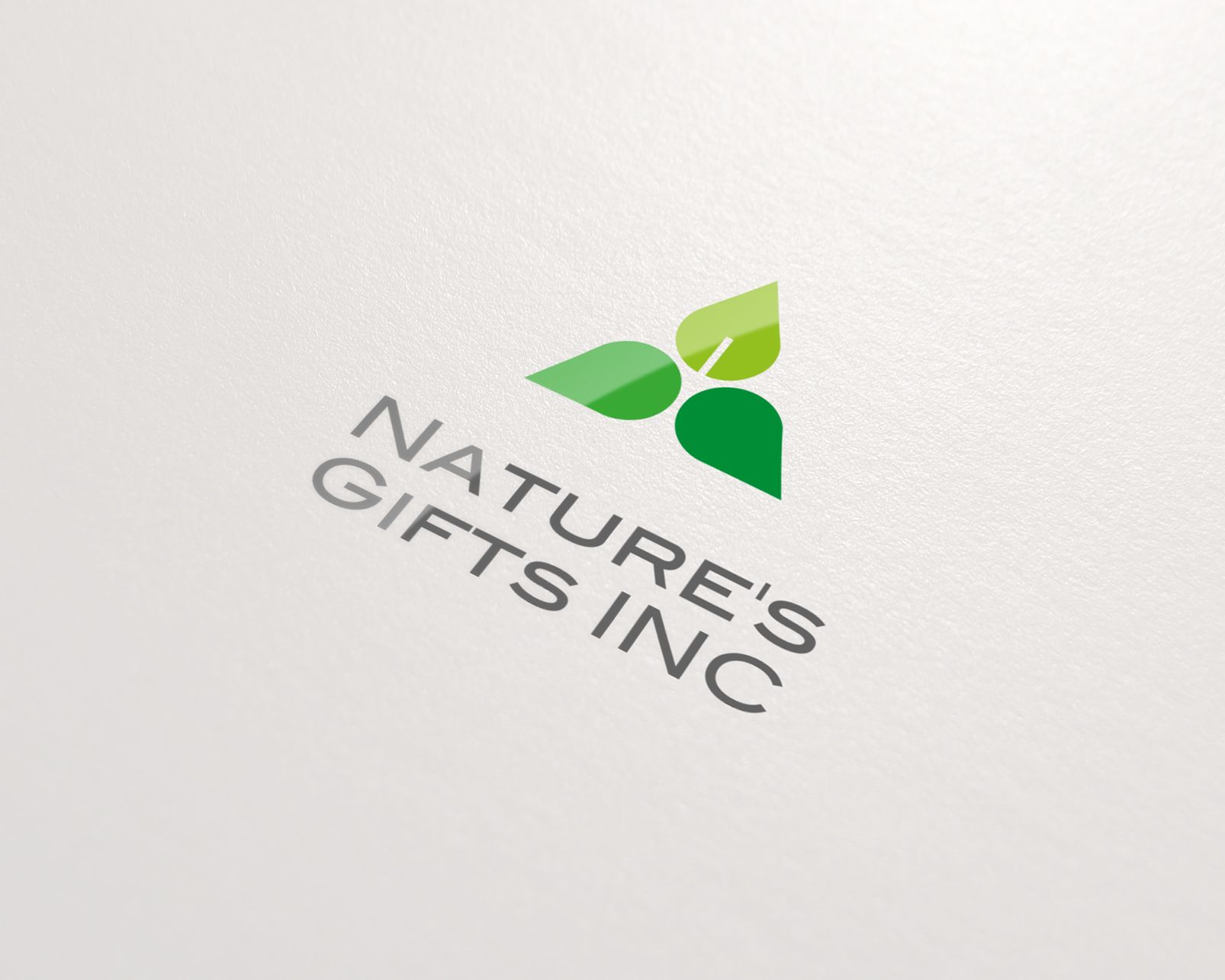 Фирменный стиль для Nature's Gifts INC - дизайнер dron55