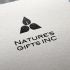 Фирменный стиль для Nature's Gifts INC - дизайнер dron55