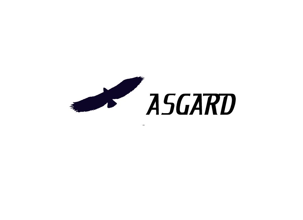 Логотип для рюкзаков и сумок ASGARD - дизайнер pkornienko