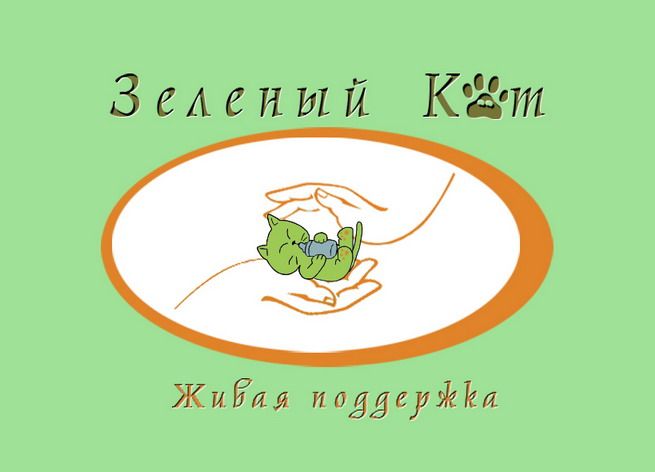 Логотип благотворительной организации - дизайнер Beysh