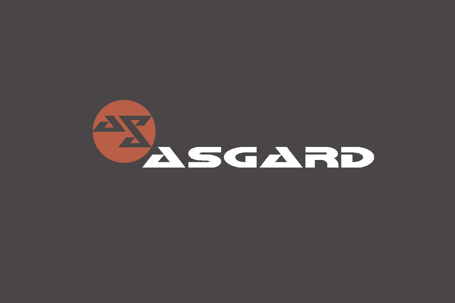 Логотип для рюкзаков и сумок ASGARD - дизайнер comicdm