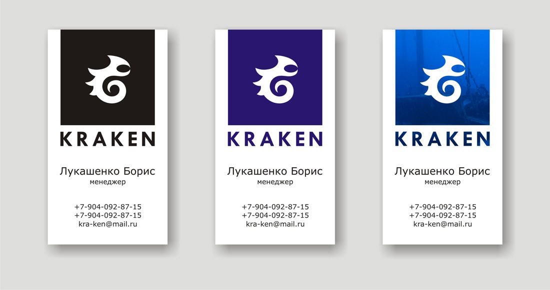 Лого и визитка для дистрибьютора экстрим-товаров - дизайнер gogy70