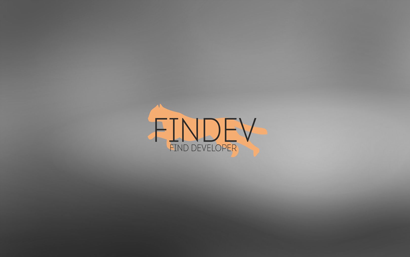 Разработка логотипа и цветовой схемы - дизайнер FlyHeavy