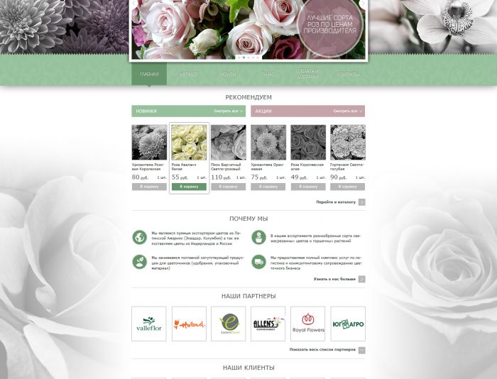 Дизайн главной страницы цветочной компании - дизайнер nadialugovska