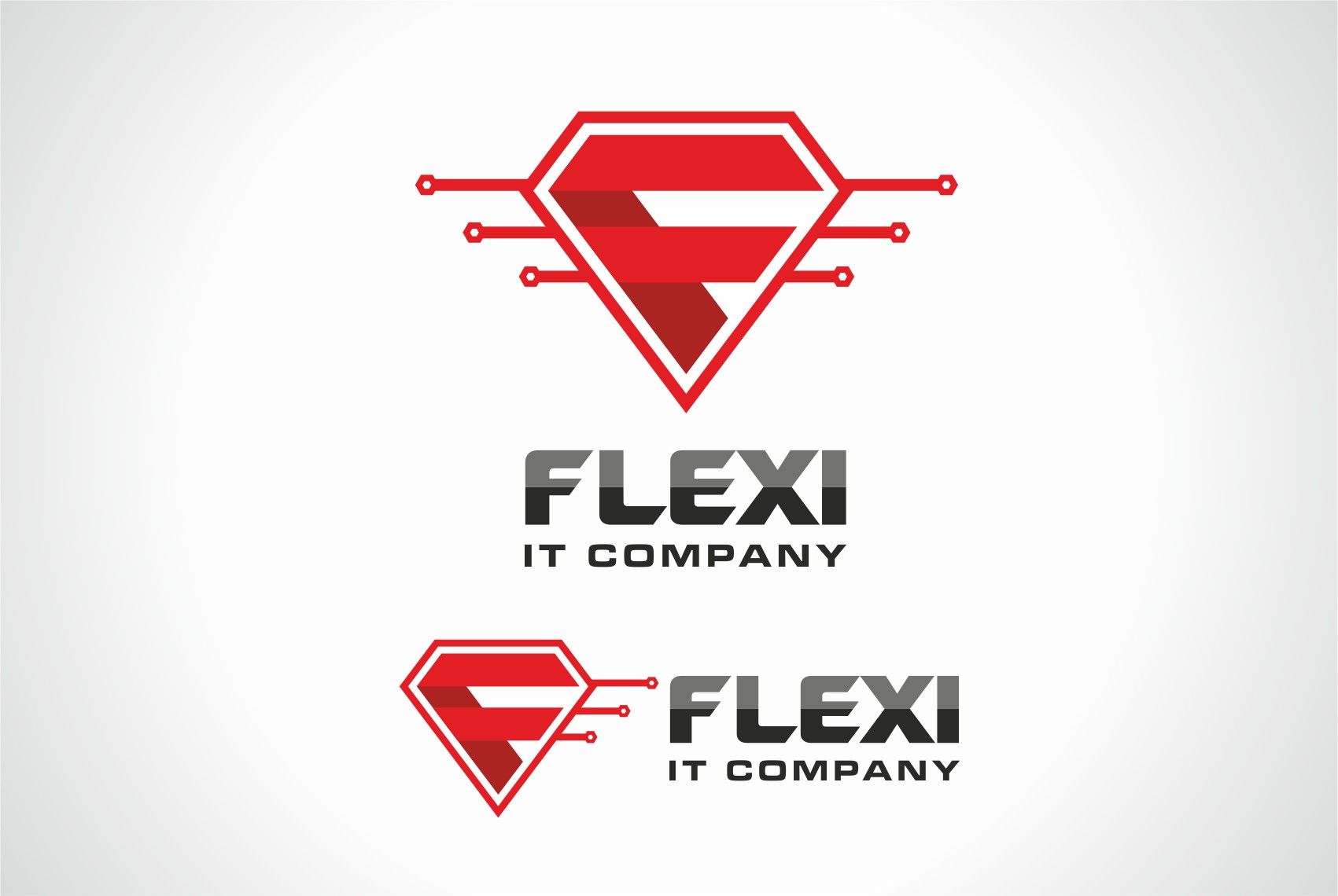 Логотип для IT-компании - дизайнер designer79