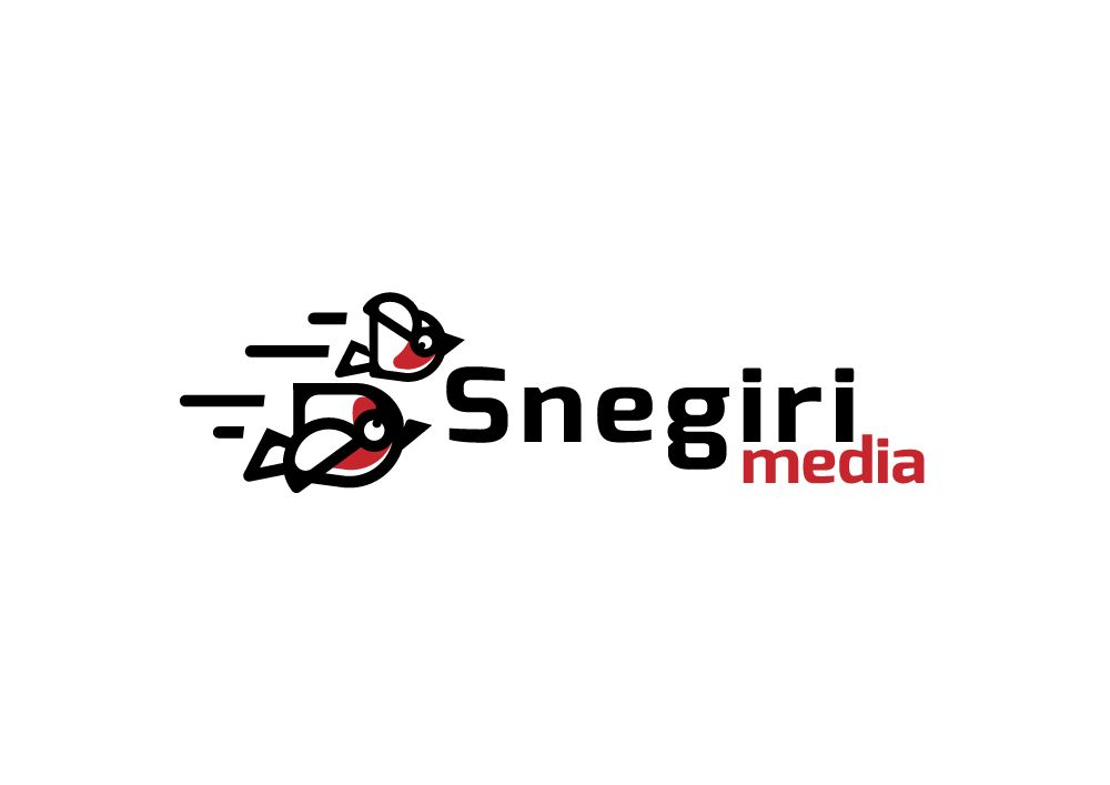 Разработка лого и стиля для рекламной компании - дизайнер zanru