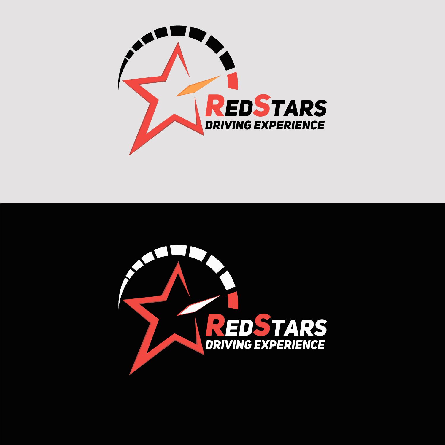 Логотип для компании (автоспорт) - дизайнер miaudesign