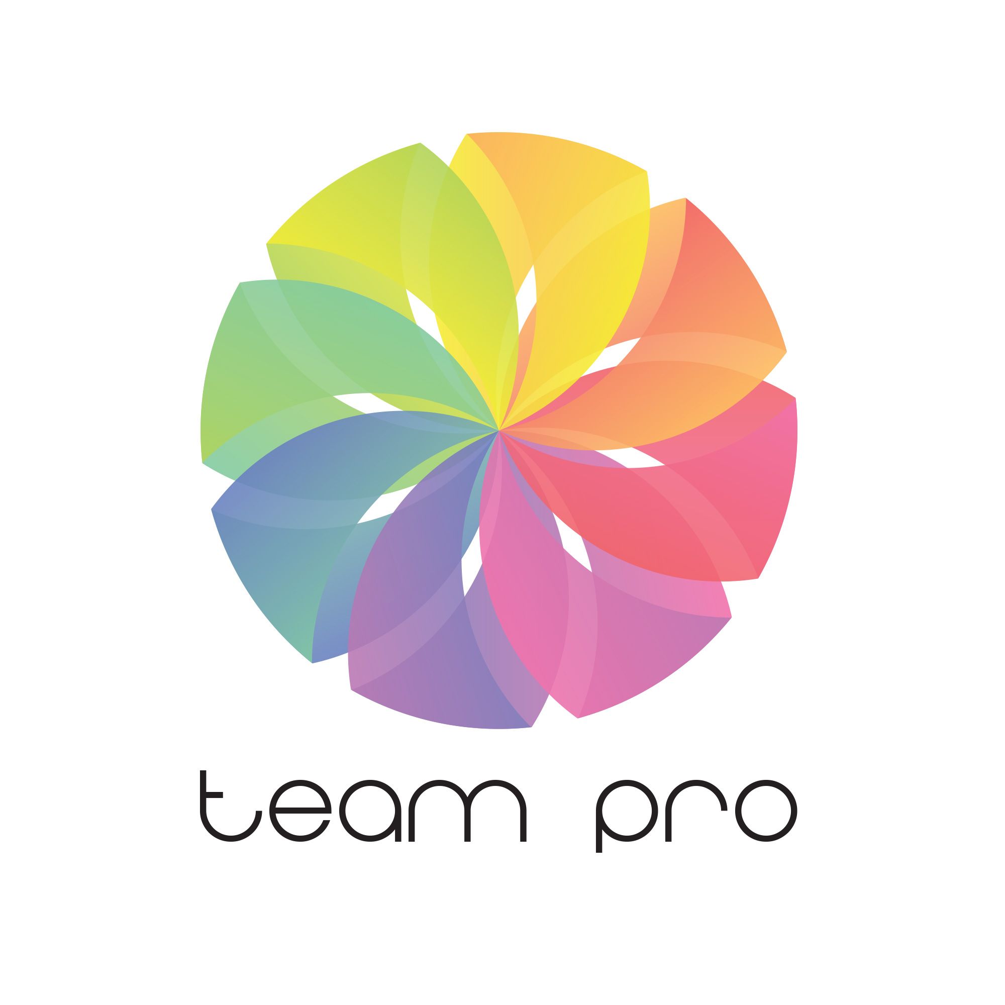 Логотип для команды разработчиков сайтов - дизайнер purgadesign