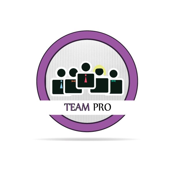 Логотип для команды разработчиков сайтов - дизайнер nozhkova