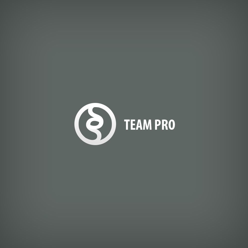 Логотип для команды разработчиков сайтов - дизайнер Kibish