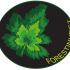 Логотип для лесоперерабатывающей компании - дизайнер amarilliska