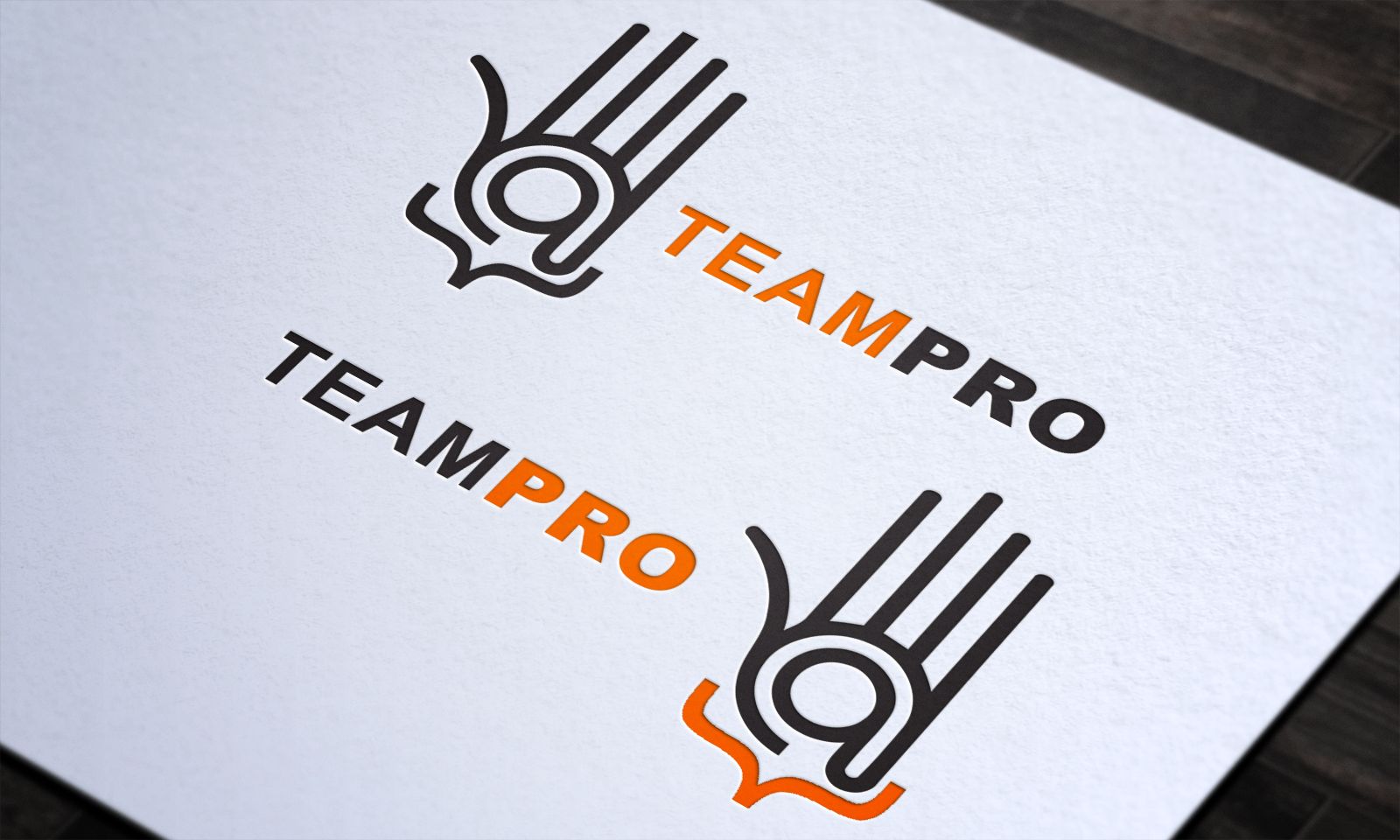 Логотип для команды разработчиков сайтов - дизайнер Splayd