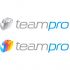 Логотип для команды разработчиков сайтов - дизайнер IrinaKaoma