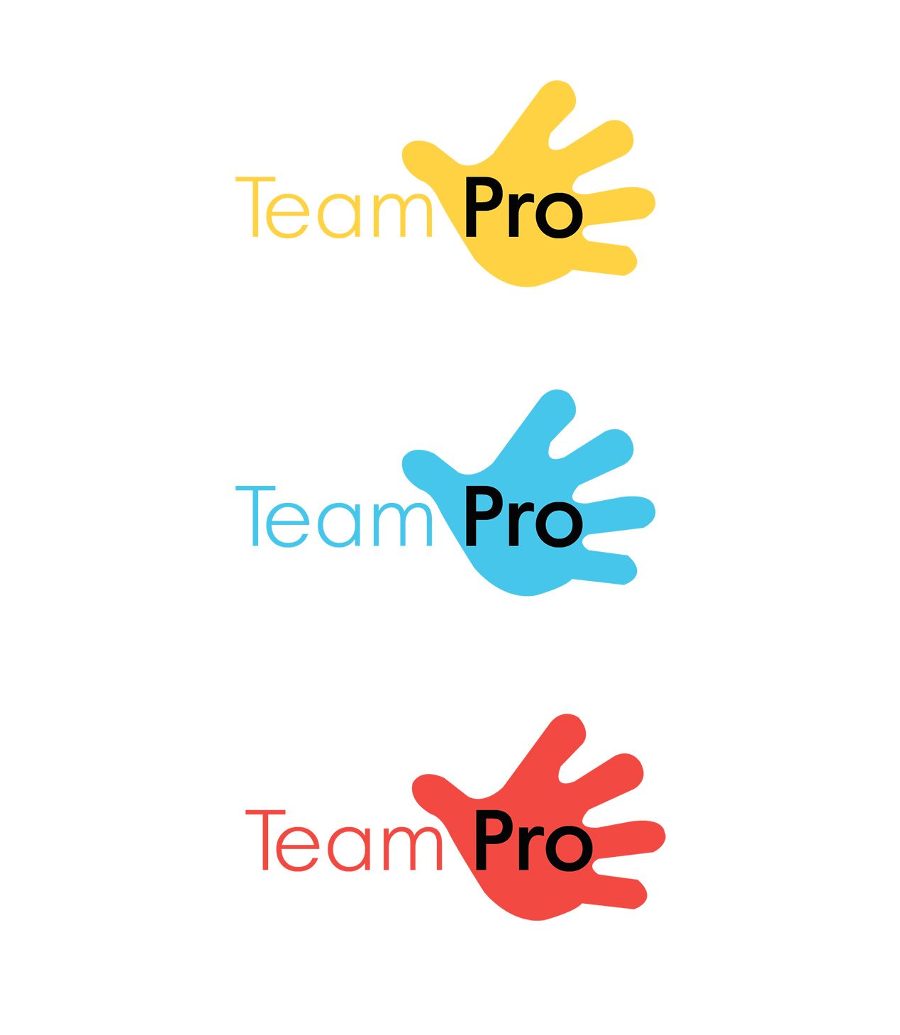 Логотип для команды разработчиков сайтов - дизайнер SmolinDenis