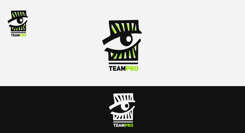 Логотип для команды разработчиков сайтов - дизайнер Nipponjin