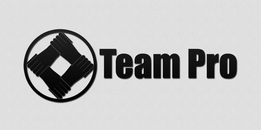 Логотип для команды разработчиков сайтов - дизайнер velikijslava