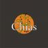 Логотип для компании Chias. Органические продукты. - дизайнер briz