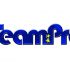 Логотип для команды разработчиков сайтов - дизайнер vl_boss