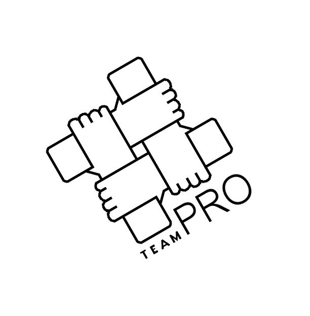 Логотип для команды разработчиков сайтов - дизайнер kobasan