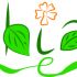 Логотип для компании Chias. Органические продукты. - дизайнер 375298480852