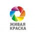 Лого и фирменный стиль для торговой марки - дизайнер Olegik882