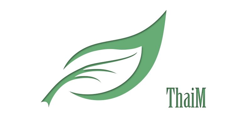 Логотип для салона Тайского массажа - дизайнер Overnight