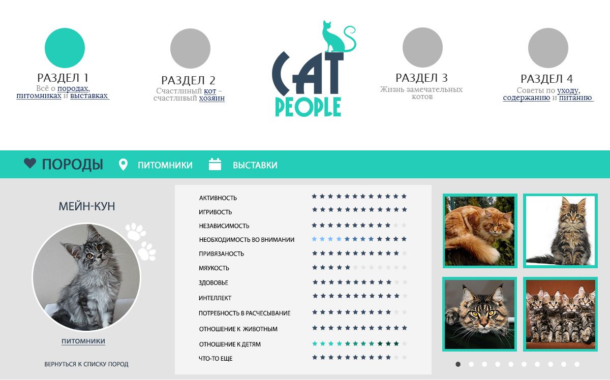 Логотип для информационного ресурса CatPeople - дизайнер indi-an